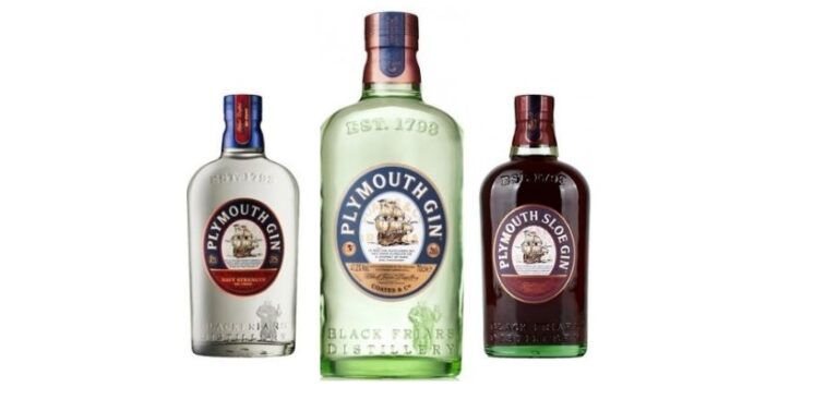 Gin Plymouth test a recenze