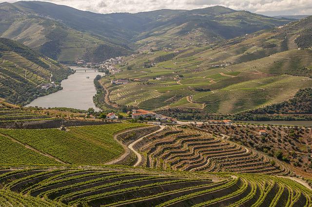 Vinařská oblast Douro